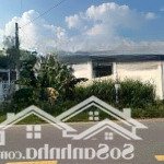 bán đất 80m2 tại thị trấn phước vĩnh, phú giáo, bình dương chỉ với giá ưu đãi 900 triệu