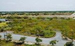 bán cắt lỗ siêu phẩm đất thương mại dịch vụ mặt đường lê đức thọ nam phong nam định