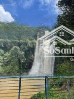 lô đất cách chợ đinh lạc 3km, diện tích 4650m2 (thổ cư) có mặt tiền 51m