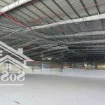 cần cho thuê nhà xưởng kcn nam sách hải dương diện tích 6000m2, 9000m2 pccc tiêu chuẩn