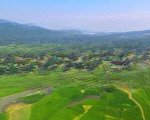 bán lô đất mặt hồ khu du lịch sinh thái vân trục lập thạch, 250m2 - chỉ 2,6 tỷ