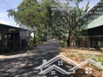 cần bán 200m2 đất odt và 9.500m đất lúa ngay đ. nguyễn thông - hiệp thạnh - châu thành - long an