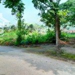 chính chủ cần bán gấp 472m2, ngay cổng sau serena resort tại sào báy, kim bôi
