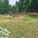 bán đất vườn diện tích 1496m2 có 267m2 thổ cư