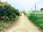 em chính chủ bán miếng đất thổ cư đạ tẻh - lâm đồng chỉ 450 triệu thương lượng, sẵn sổ