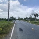 đất nền giá rẻ ngay đ. lê thị lệ chi, t.t chợ gạo, tiền giang, 150m2, full thổ cư, shr