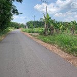 bán đất sát kcn nam đồng phú 6x50x100tc xây trọ ngay