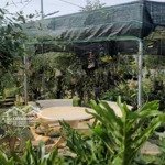 cần bán gấp đất nhà vườn nghỉ dưỡng 2.300m2 tại madagui, lâm đồng giá ngộp