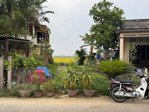 bán đất lê thánh tông view lúa, 4,5 tỷ, 104 m2, pháp lý đầy đủ, hội an, quảng nam, giá cực chất