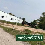 bán đất 223,3m2 full thổ cư, mặt tiền 15m. xã an ninh đông, huyện đức hoà, long an