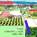 đất sào sẵn 300m2 thổ cư gần 60m mặt tiền tại tân phú đồng nai