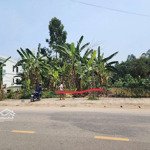 cần bán ô đất 117m đường tl 325 tại tiên kiên huyện lâm thao tỉnh phú thọ, sẵn sổ đỏ công chứng