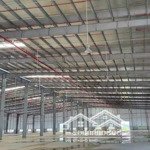 cho thuê kho xưởng khu công nghiêp thanh thành công