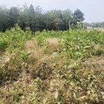 cách đt741 chỉ 300m, an bình phú giáo giá chính xác chỉ 590 triệu như hình, gọi xem thông tin