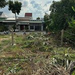 cần ra đi lô đất đ. tán kế, gần ubnd huyện châu thành, bến tre. sổ sẵn. 120m2 giá 500triệu full thổ