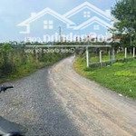 bán đất giá rẻ cho công nhân ngay công viên nước rio, khu dân cư sao vàng, 5x28 (140m2), giá 590tr