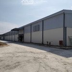 cho thuê kho phú ninh, quảng nam, 9230m2, kho mới, pccc tự động