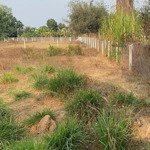 " chính chủ bán đất mặt tiền đường nhựa 5m cây da, hiệp thạnh, gò dầu