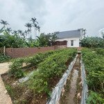 bán lô đất 80m 2 mặt thoáng tại nam tử, kiến thiết, tiên lãng, sinh lời cao, giá chỉ từ 6xx triệu
