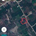 Chính Chủ Bán 3620,1m2 Đất ONT Tại Xã Ea M''''nang, huyện Cư M''''gar, tỉnh Đắk Lắk