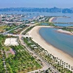 bán ô đất biệt thự đồi tuần châu hạ long quảng ninh. 500m2