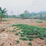 bán đất 1800m2 tại xã trần phú, chương mỹ, hà nội, giá 4 triệu / m2, đẹp, nhiều tiện ích xung quanh