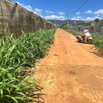 đất đẹp giá rẻ quảng lập, đơn dương chỉ 1 lô duy nhất không có lô thứ 2
