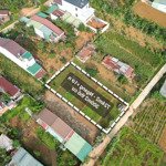 bán đất tại đường lý thái tổ, xã đam bri, bảo lộc, lâm đồng, giá cực chất 4,7 tỷ, 724 m2