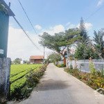 nhà ngộp phú hội 7m x 26m, khu dân cư gần chợ ( tiếp tục giảm 100 triệu )