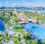 đón sóng hạ long xanh mua ngay biệt thự đồi tuần châu để x3 tài sản