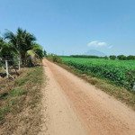 bán lô đất lúa tại xã chà là, huyện dương minh châu, tây ninh. dt: 9.110m2, giá: 3 tỷ tl, sổ hồng