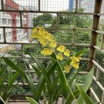 cho thuê tầng 1 diện tích 50m mặt tiền rộng hơn 10m ngõ ô tô vào tận nơi