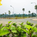 gđ cần bán đất nền dự án kđt the spring town xuân mai