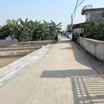 bán đất tại thị trấn an lão, an lão, hải phòng, giá tốt, 71m2