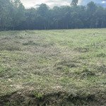 bán đất tại lộc thành, lộc ninh, bình phước, 2,3 tỷ, 10000m2