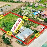 đất tà nung 1390m2, trong đó có 250m2 thổ cư