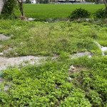 bán đất mặt tiền trục chính tt. bình mỹ, h. bình lục, hà nam