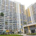 căn hộ cc 30,15m2, 497 triệu tại evergreen bắc giang, thị trấn nếnh, bắc giang