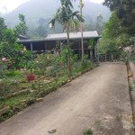 bán nhà riêng tại đà bắc, hòa bình, diện tích 1020 m2 đẹp xuất sắc