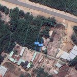 chính chủ cần bán gấp lô đất ngay thị trấn phước bửu, xuyên mộc, bà rịa - vũng tàu