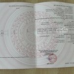 bán đất tại xã yên trị, ý yên, nam định, giá cực chất 3,5 tỷ, diện tích 150m2