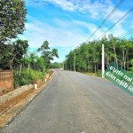 chính chủ bán nhanh lô đất lộc quang, lộc ninh, bình phước, lh 0898847779