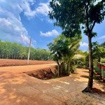 bán nhanh 1186m2 đất shr giá 170 triệu ngay kcn, gần chợ để trả tiền thuê mặt bằng ở sg