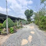 130m2 thổ cư. Đường thông. Rớt nhựa 100m. 420tr