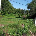 đất mặt tiền nguyễn thị vui 1.000m2 có 200m2 thổ cư, phú mỹ hưng, củ chi, giá cực rẻ chất 3,2 tỷ