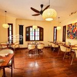 cho thuê nhà mặt phố phạm ngọc thạch cực đẹp, diện tích 150m2 + gác xép, mặt tiền 6m kd mọi mô hình