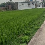 bán đất an bồi, kiến xương, thái bình, 2 tỷ, 380 m2, giá tốt hàng hiếm tại