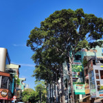 mt cao thắng siêu đẹp cho nhà đầu tư
