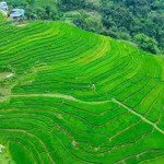 hàng hiếm view ôm trọn cánh đồng mặt tiền rộng, dt 993m2 tại kim bôi hòa bình giá chỉ 1 tỷ