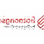 bán đất 1258.6m2 tại kênh trung ương, bình chánh, 5,5 tỷ